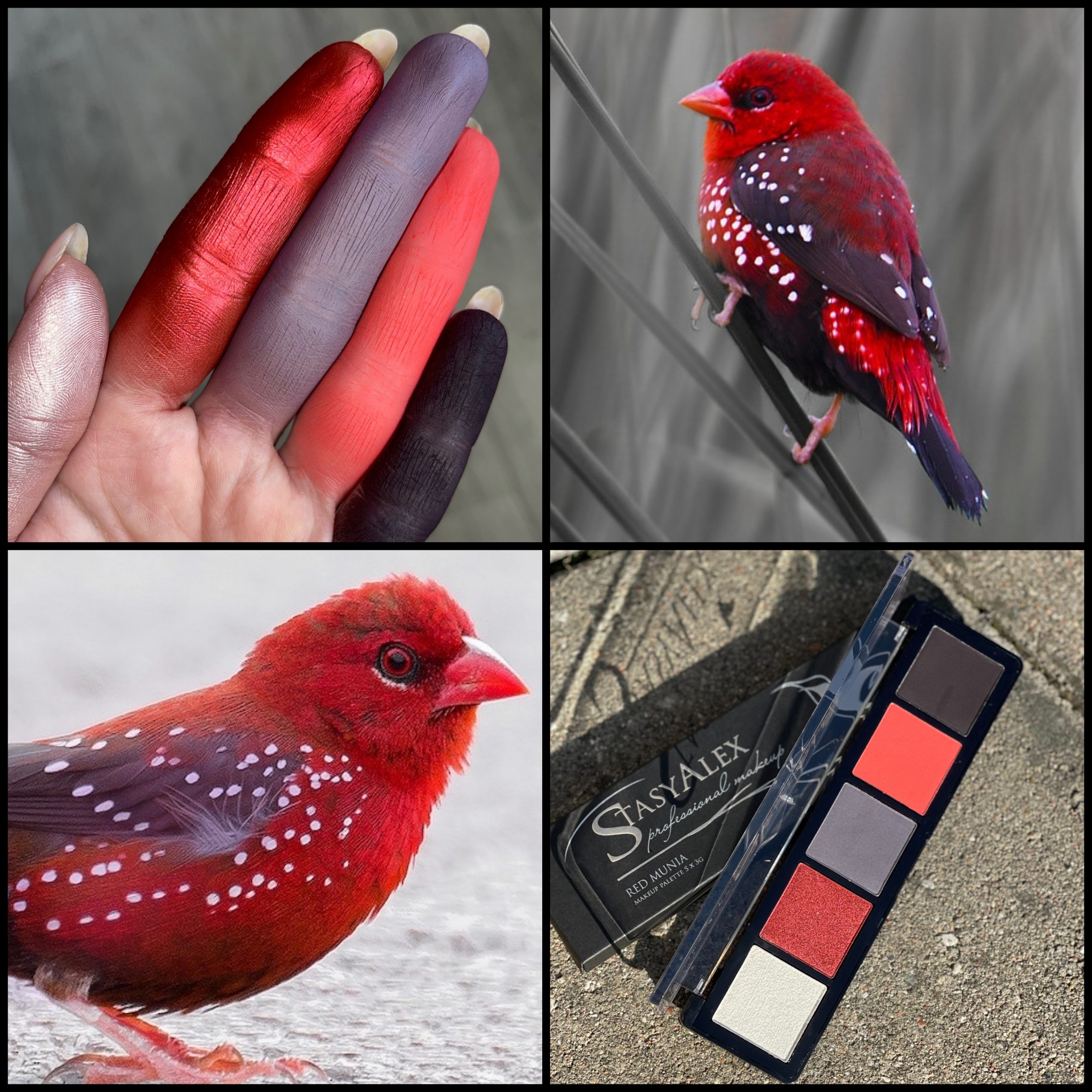 EYESHADOWS PALETTE E34 RED MUNIA