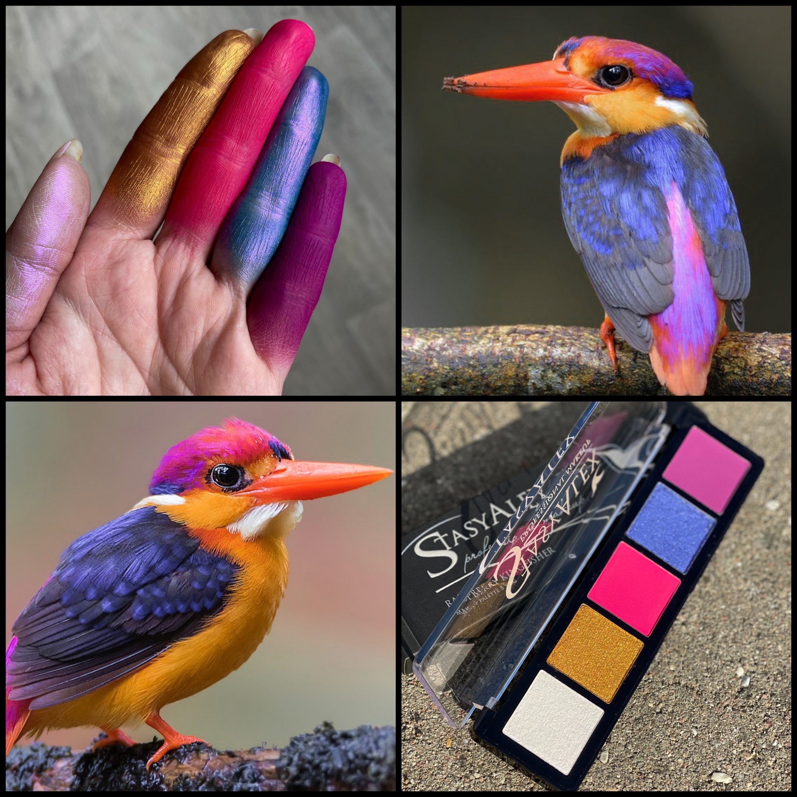 EYESHADOWS PALETTE E25 RASPBERRY KINGFISHER