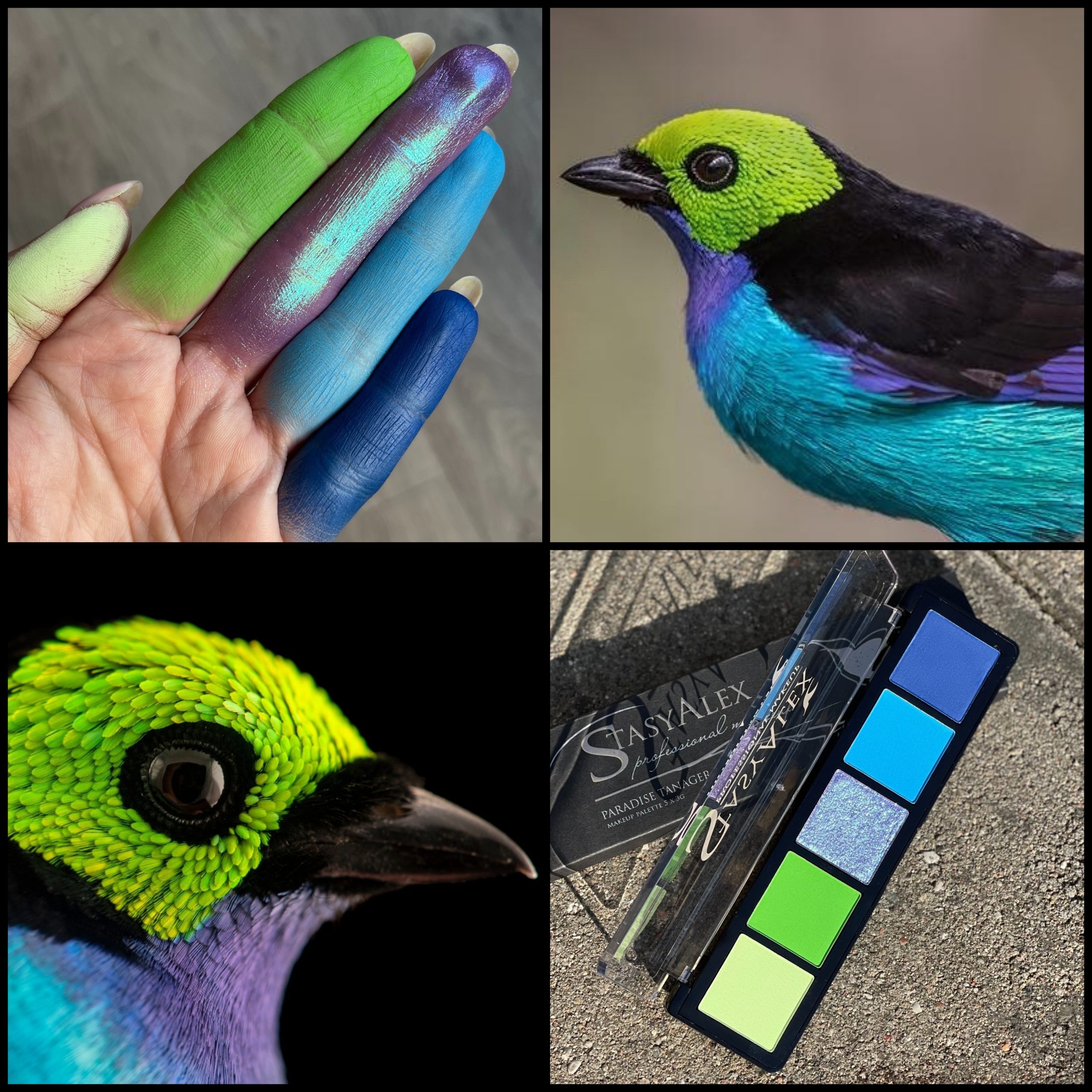 EYESHADOWS PALETTE E18 PARADISE TANAGER